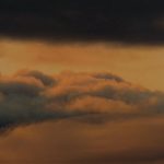 La volpe sulla luna