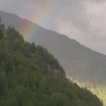 Caccia alla volpe di notte nel bosco